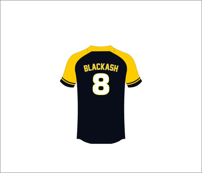 BAS-410 Custom Baseball Jerseys: Premium Quality & Personalized Design